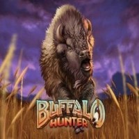 Buffalo Hunter slot logo by Nolimit City at CasinOK CasinoBuffalo Hunter